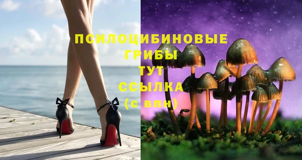 гидра Белоозёрский