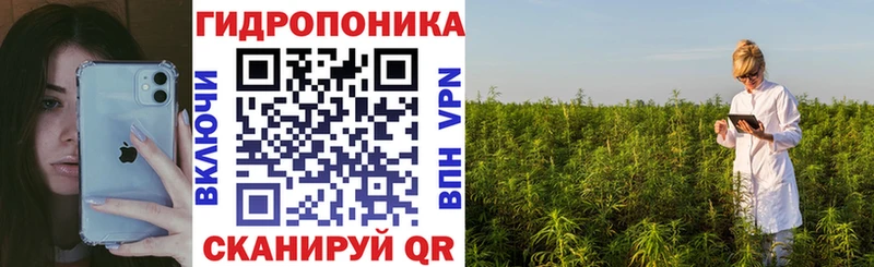 Купить где  Новомичуринск  Конопля OG Kush 